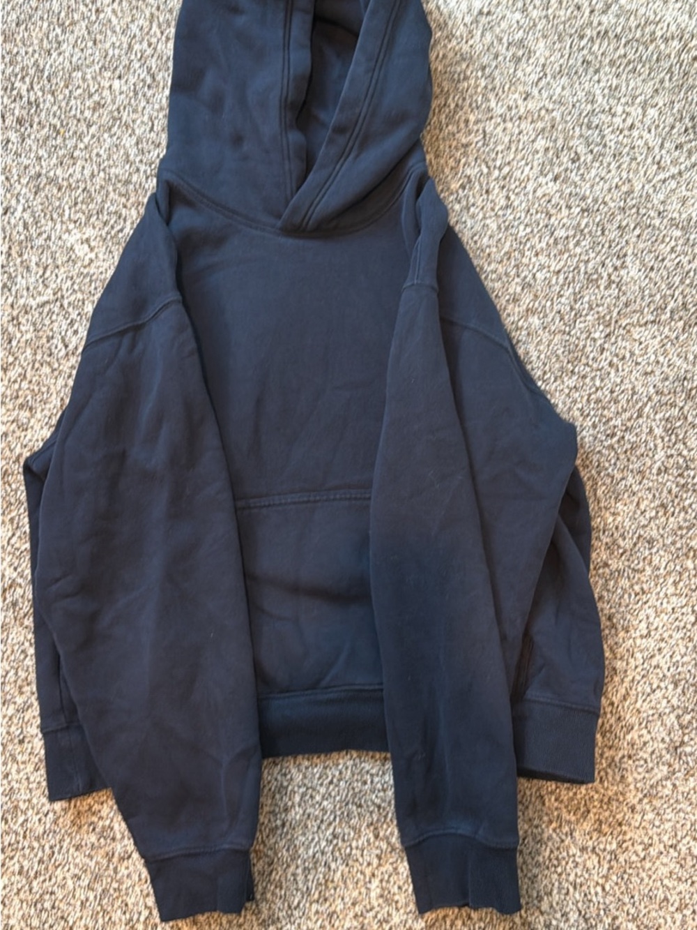 Aritzia navy Hooded Sweatshirt hoodie